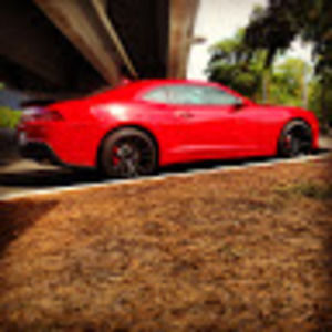 Meet your Posher, Phong